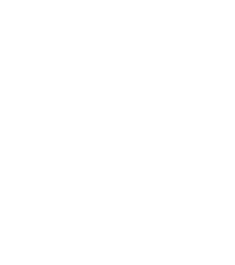 Timeless Tees